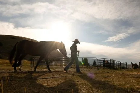 Discover the American Women Ranchers Reshaping Contemporary Farm Life