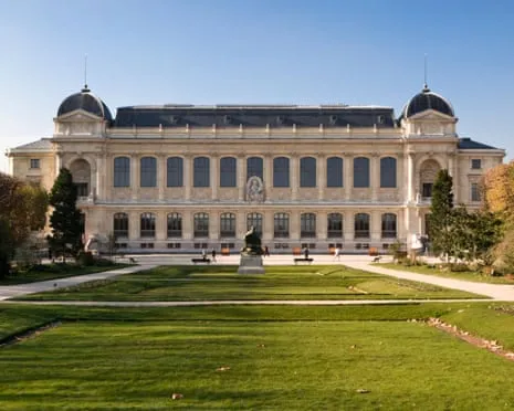 Historic Golden Specimens Snatched in Audacious Heist at French National Museum